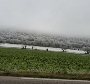 Boucle autour de Saint Hilaire-de-Brens - Saint-Hilaire-de-Brens - 2