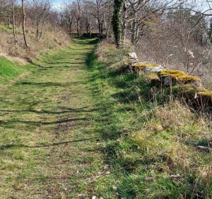 Marcilly Le Chatel, le Puy Granet - Marcilly-le-Châtel - 2