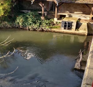 Weyersheim direction château d'eau, retour par Bietlenheim - Weyersheim - 2