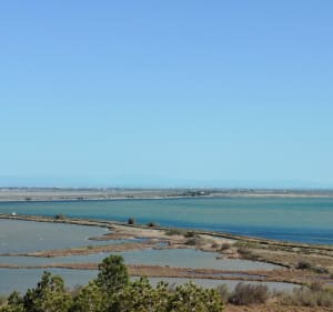 L'île de Ste Lucie à Port la Nouvelle - Port-la-Nouvelle - 2