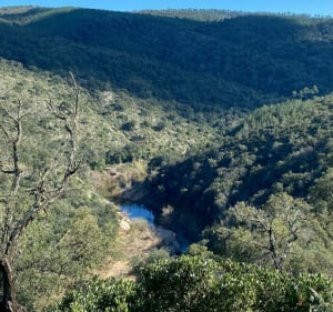 Forêt des Apiès, les Arcs sur Argens - Les Arcs - 2