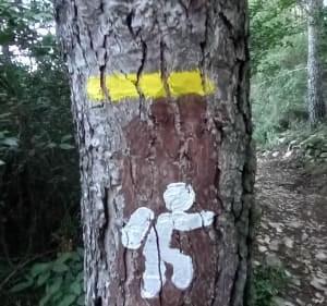 Au pays des Capitelles et des pierres sèches - Caveirac - 2
