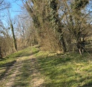 Jardin de l’île / Rivière de la Marne - La Ferté-sous-Jouarre - 2