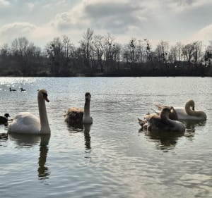 Tour de la forêt de  Saint-Germain-en- Laye - Chambourcy - 2