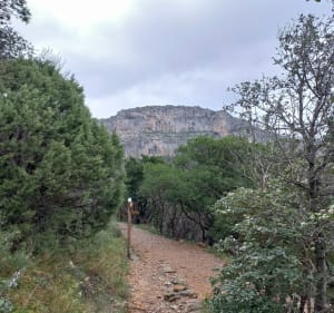 Le presque Max Nègre - Saint-Guilhem-le-Désert - 2