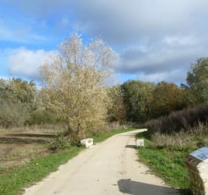 Boucle Vert le grand, Menncy et Vert le petit - Leudeville - 2