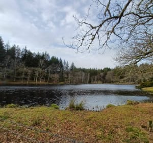 Balade à St-Symphorien-sur-Couze - Saint-Pardoux-le-Lac - 2