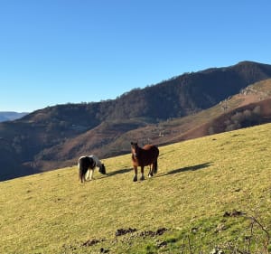 Urrizpilota 935m, Elhorriko Kaskoa 983m, Hautza 1304m - Saint-Étienne-de-Baïgorry - 2