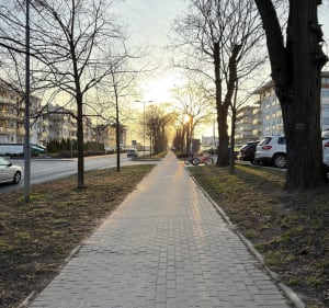 Kółko na Skiereszewie - Gniezno - 2