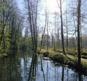 Château de Grouchy et la Viosne - Osny - 4