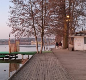 Spacer z psem nad Jeziorem Ukiel - Olsztyn - 2