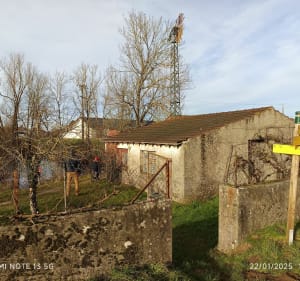 Champs du Finage - Charline - 4
