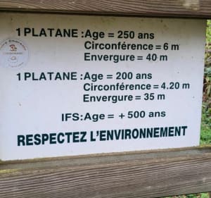 Circuit des platanes Peyrassoulat - Chéronnac - 2
