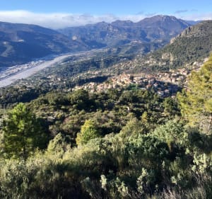 Le Mont Chauve d’Aspremont, et Crête de Graus - Aspremont - 2