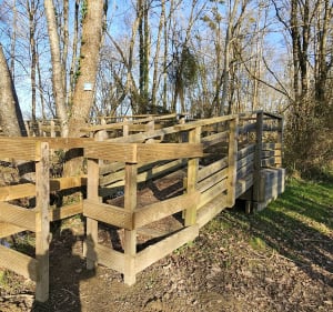 Promenade le long de l' Adour - Grenade-sur-l'Adour - 2