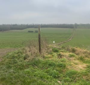 Promenade Zudausquoise - Zudausques - 2