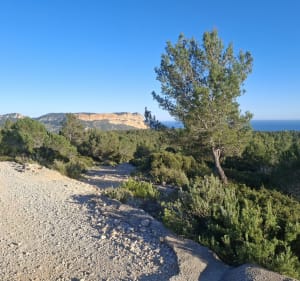 Balade dans les Calanques de Cassis - Cassis - 2