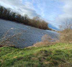 Marche en bord de Loire à Veauche - Veauche - 2