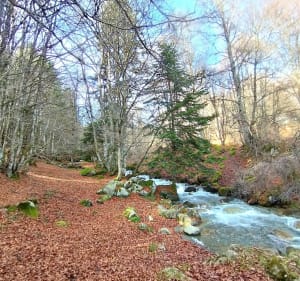 Les Esclozes - Ancizan - 2