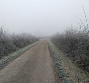 Chemin du Sars Bara par Sassegnie - Franck - 3