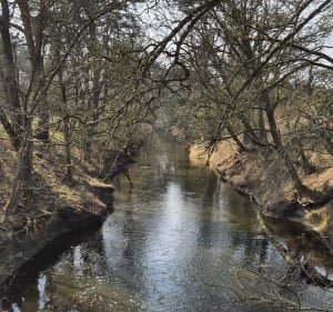 Trasa z Bąblin do Słonawy w Puszczy Noteckiej - Słonawy - 2