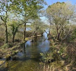 Tour du lac Hardy Soustons Landes - Soustons - 2