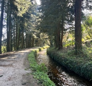 Le lac des Cammazes - Les Cammazes - 2