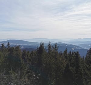 Niedzielna traska na Mogielicę z Jurkowa - Jurków - 2