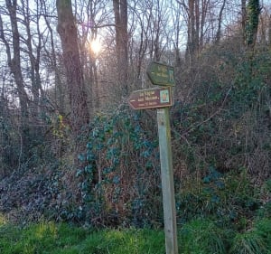 Balade sur l'ancienne voie de chemin de fer de Saint Savin - Saint-Savin - 2