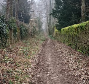 De Savonnières à Ballan par les bois - Savonnières - 2