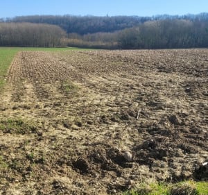 Balade autour de la Colline de Lorette - Ablain-Saint-Nazaire - 2