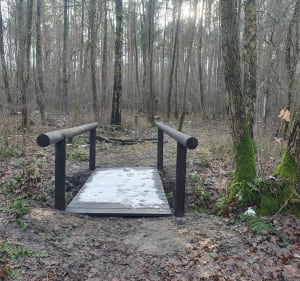 Sokolnikach Lesie - Sokolniki-Las - 2