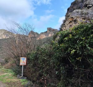 Saint-Guilhem-le-Désert, Max Nègre, forestière des Plos - Saint-Guilhem-le-Désert - 2