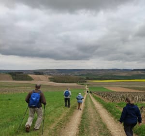 Randonnée gourmande de Saint Bris le Vineux - Saint-Bris-le-Vineux - 2