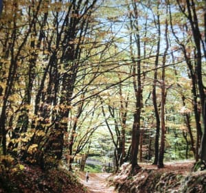 Boucle entre Boujan et Bassan - Servian - 2