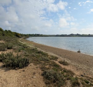 Port Brillac à la pointe du Ruaud - Sarzeau - 4