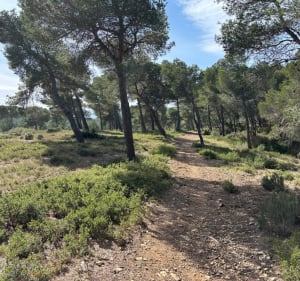 Magnifique cote bleue ! - Ensuès-la-Redonne - 2