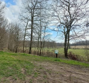 Sentier du Nacey, Bois des Charmeux, depuis Soissons-sur-Nacey - Soissons-sur-Nacey - 2
