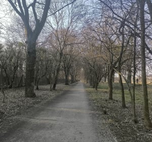 Nad Odrą - Wrocław - 2