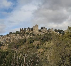 Sur les traces du château d'Allègre - Allègre-les-Fumades - 2