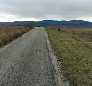 Petit tour sur le Causse - Labruguière - 2