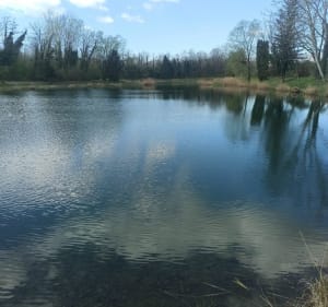 Randonnée à La Rivière - PERRIN - 3