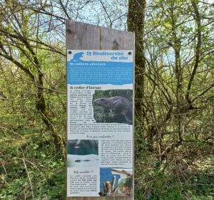 Sentier du Doulou - Parcey - 2