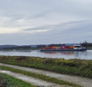 Boucle de brotonne par forêt  et marais - Arelaune-en-Seine - 2