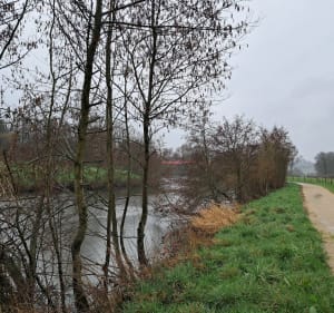 Rampan à Pont-Hébert, par la Foulerie - Claude - 3