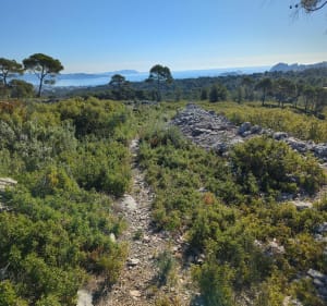 Couronne de Charlemagne depuis Severiers - La Ciotat - 2