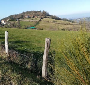 Balade de Tour Philippe depuis Quéret - Saint-Étienne - 4