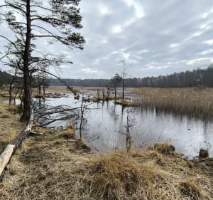 Zespół przyrodniczo krajobrazowy Dobroń - Terenin - 2