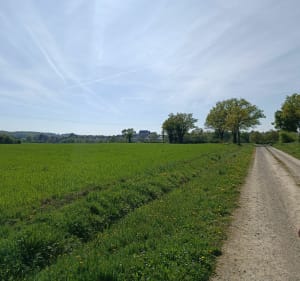 Rando à Riaillé - Riaillé - 2