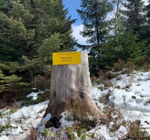 Beskid Sądecki - Przysietnica - 2